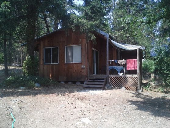 Our cabin Coffee Creek California