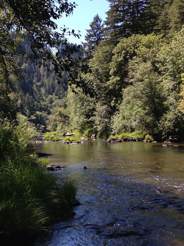 Siuslaw River, hour west of Eugene