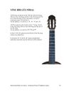 Microtonal Guitar for standard guitar with added frets Vol.I by Fernando Perez & Tolgahan Çogulu (ebook/PDF & audios)