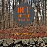 Out of the Sunshine (2014) by Andrew Cole & The Bravo Hops