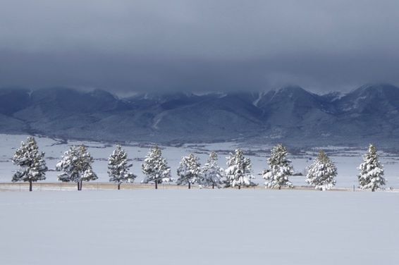 Winter Spring in Westcliffe