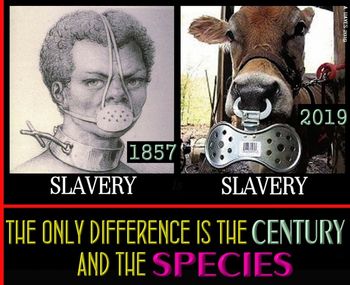 Slavery Comparison

