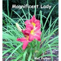 Magnificent Lady by Mel Parker