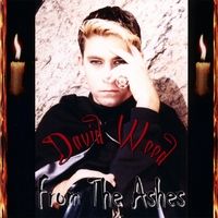 From The Ashes by David Wood