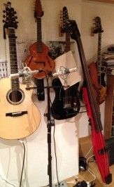 Guitars, 12-string,Mandolin,electric upright bass