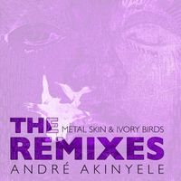 The Metal Skin and Ivory Birds Remixes by André Akinyele