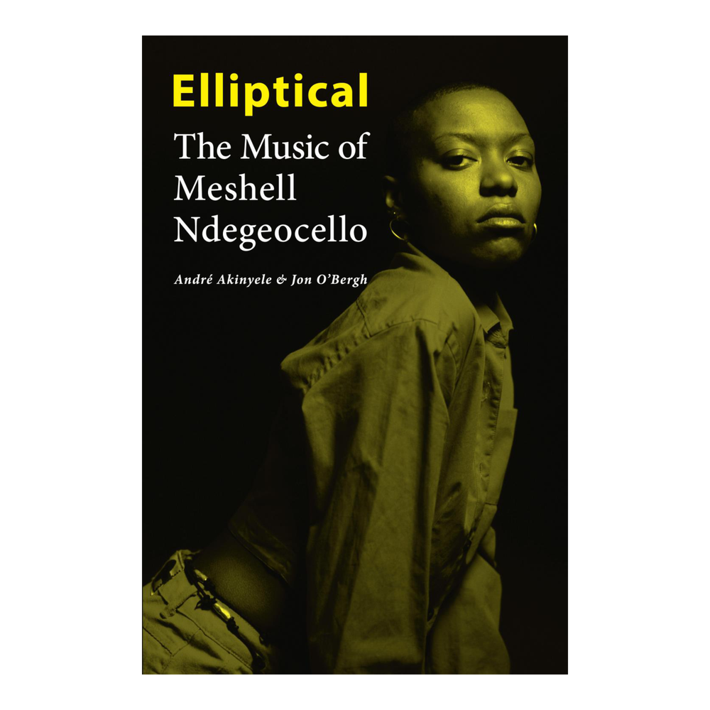 Elliptical: The Music of Meshell Ndegeocello (Paperback Cover)
