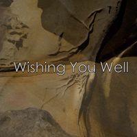 Wishing You Well by Lindsay Martell