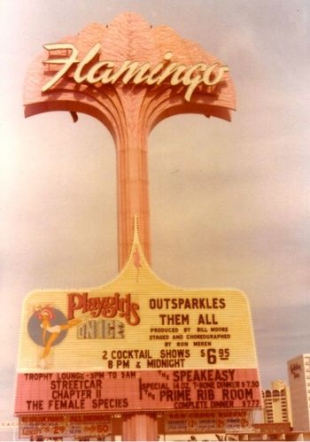 Here we are at the famous Flamingo in Los Vegas!
