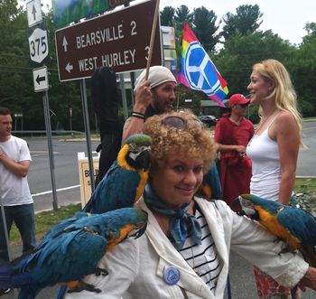 Walking the talk with birds in Woodstock 2015

