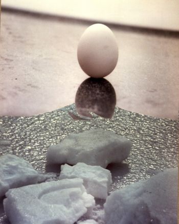 Some eggs do it on ice   Photo-collage by CarmelaTalBaron.com Spring Equinox 1993
