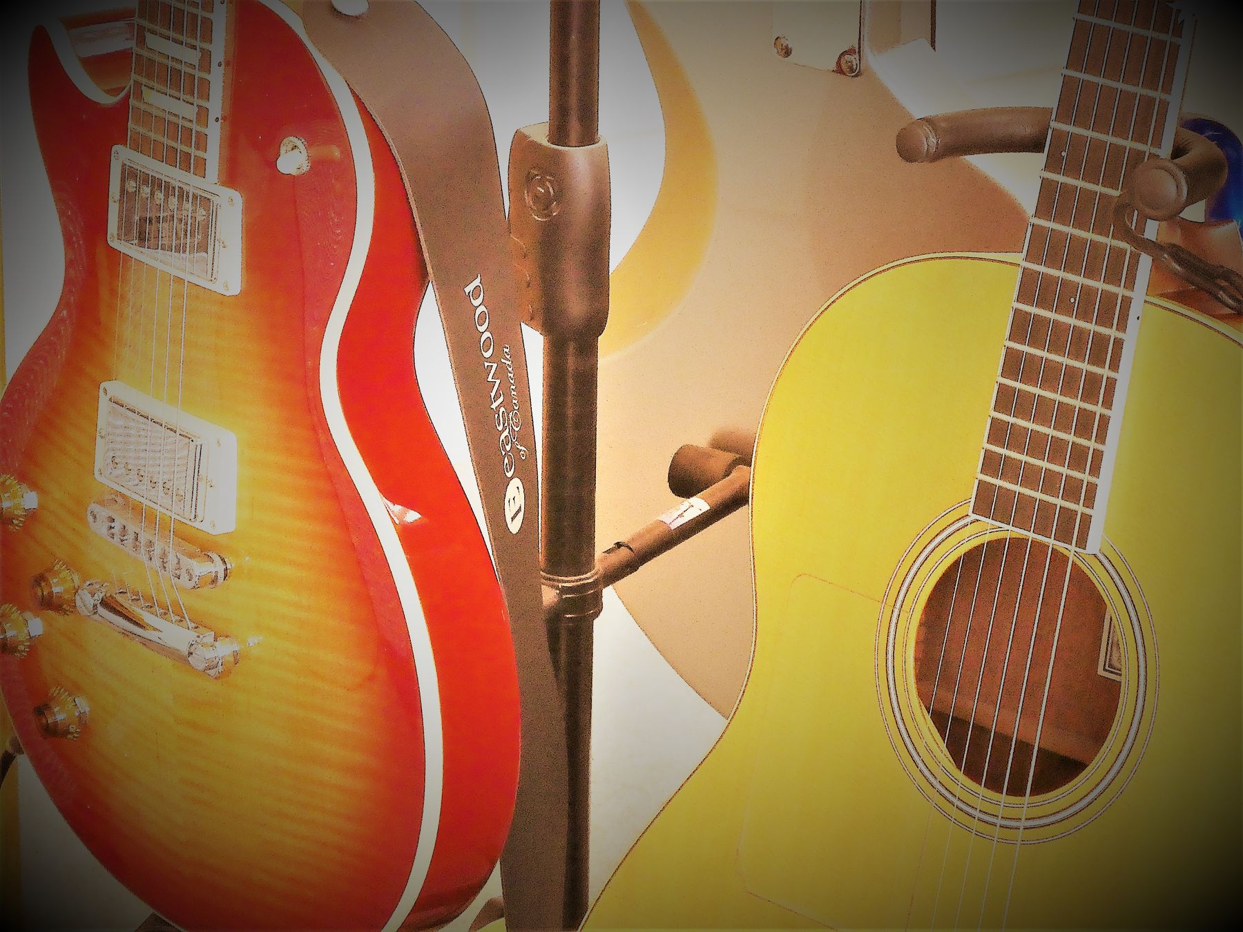 Philip Hartshorn's Dunedin School of Music