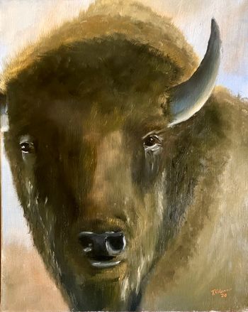 Bison. Oil on canvas.
