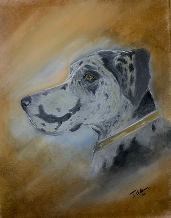Kramer. Oil on canvas. This is a painting a did for a friend, who lost her sweet dog, Kramer.
