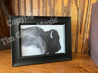 Black Bison - framed print