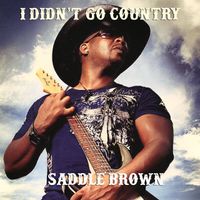 I Didn't Go Country  by Saddle Brown