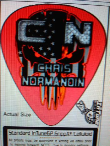 ChrisNormandin custom guitar pick8
