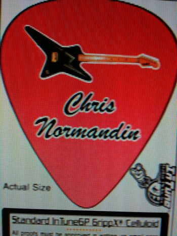 ChrisNormandin custom guitar pick9
