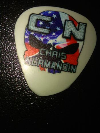Chris Normandin guitarpick Used and Abused
