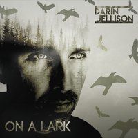 On a Lark by Darin Jellison