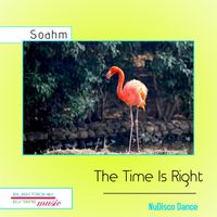 The Time Is Right (Feat Soahm) by Soahm
