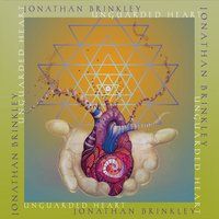 Unguarded Heart by Jonathan Brinkley