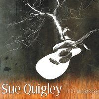 Little Wildernesses by Sue Quigley