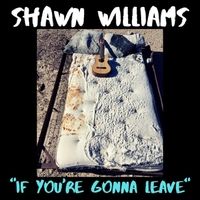 If You're Gonna Leave by Shawn Williams