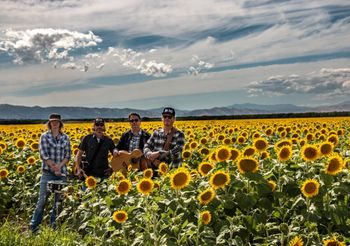 Sunflowers! Photo by Aaron Campbell
