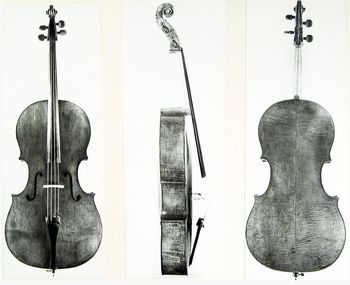 Cellist, Daniel Gaisford's Matteo Goffriller, Venice, 1706, the "Warburg"
