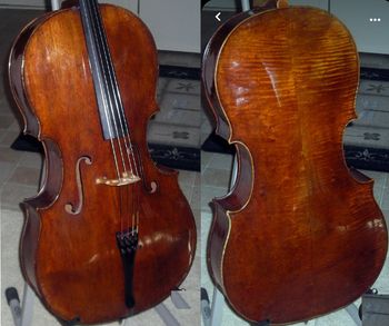 Cellist, Daniel Gaisford Matteo Goffriller, Venice, 1706, the "Warburg"

