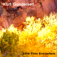 Little Fires Everywhere by Kurt Gundersen