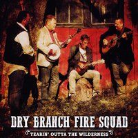 Tearin' Outta the Wilderness by Dry Branch Fire Squad