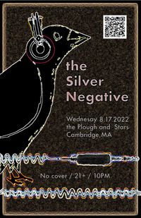 The Silver Negative