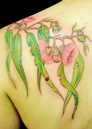 Australian flowering gum (Eucalyptus Ficifolia) tattoo
