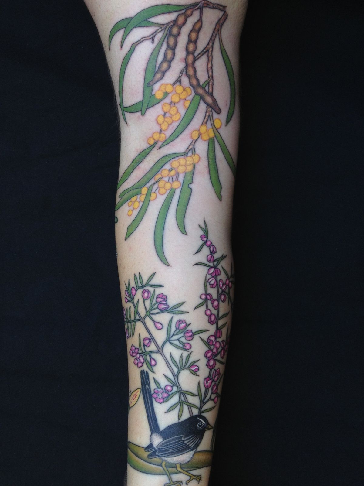 Australian Native plant botanical tattoos