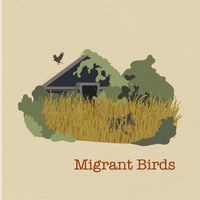Migrant Birds by Migrant Birds