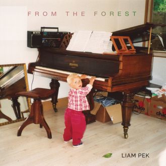 LIAM PEK - FROM THE FOREST