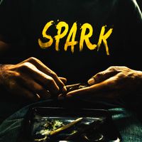 Spark 3 Jays by AP Coley 