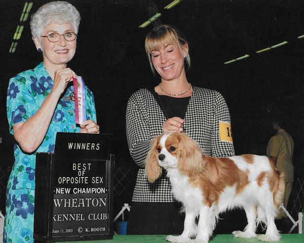 Cassie, a NEW CHAMPION and our first homebred champion!!!