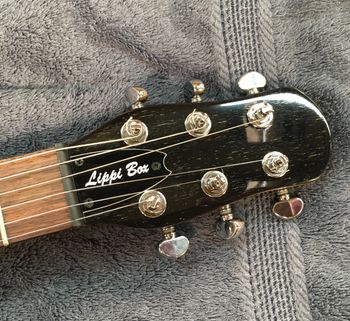 Semi-hollow - Dog Hair Body Handcrafted In The U.S.A. - 2019
