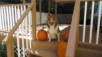 Kelsey's all ready to greet the Trick-or-Treaters!
