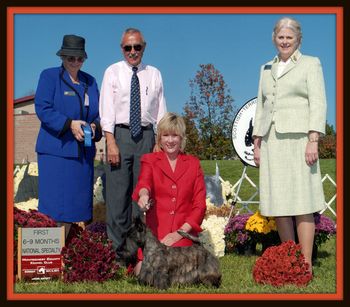 Winning the 6-9 puppy bitch class at the STCA National Specialty at Montgomery County. Judge Darle Heck.

