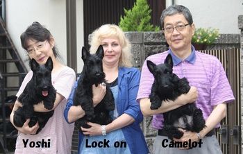 Yoshi on the far left( being held by his breeder, Emi Nakahara) with his litter brothers.
