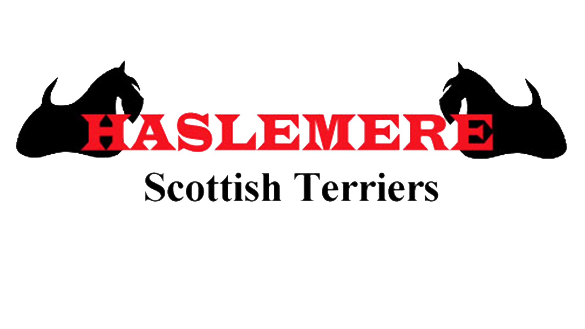 Haslemere Scottish Terriers