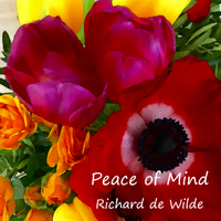 Peace of Mind by Richard de Wilde
