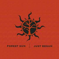 Just Begun by Forest Sun