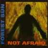 Not Afraid (digital download)