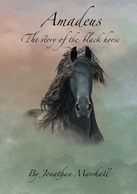 Amadeus the story of the black horse