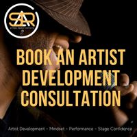 Artist Development or Intensive Performance Preparation Consultation 